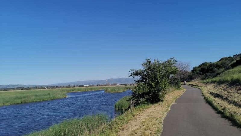 Coyote Hills Regional Park - Fremont, CA