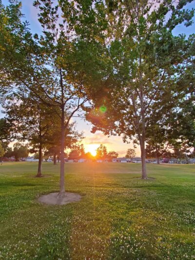 Crandall Creek Park - Fremont, CA