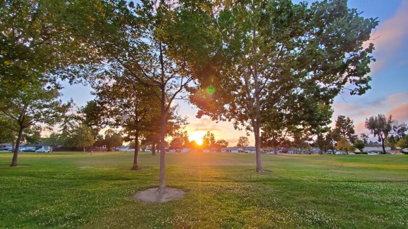 Crandall Creek Park - Fremont, CA