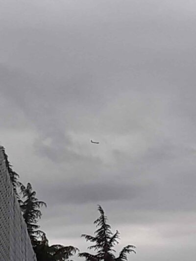 Deep Creek Neighborhood Park - Fremont, CA