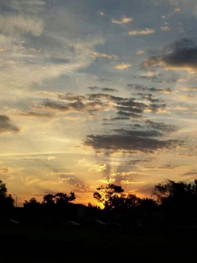 Deep Creek Neighborhood Park - Fremont, CA