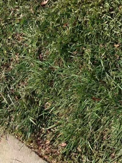 Frank Fisher Park - Fremont, CA