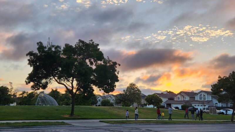 Frank Fisher Park - Fremont, CA