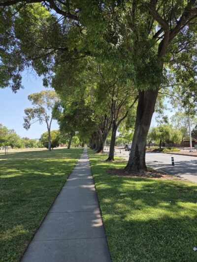 Northgate Community Park - Fremont, CA