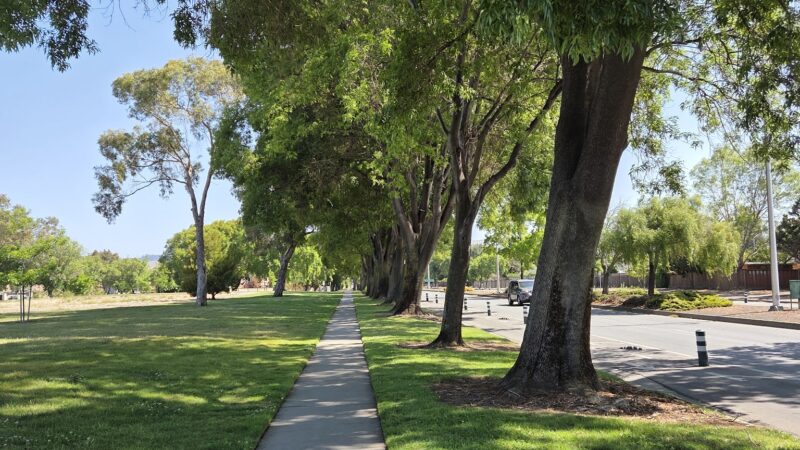 Northgate Community Park - Fremont, CA