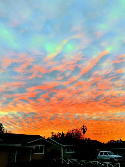Patterson Park - Fremont, CA