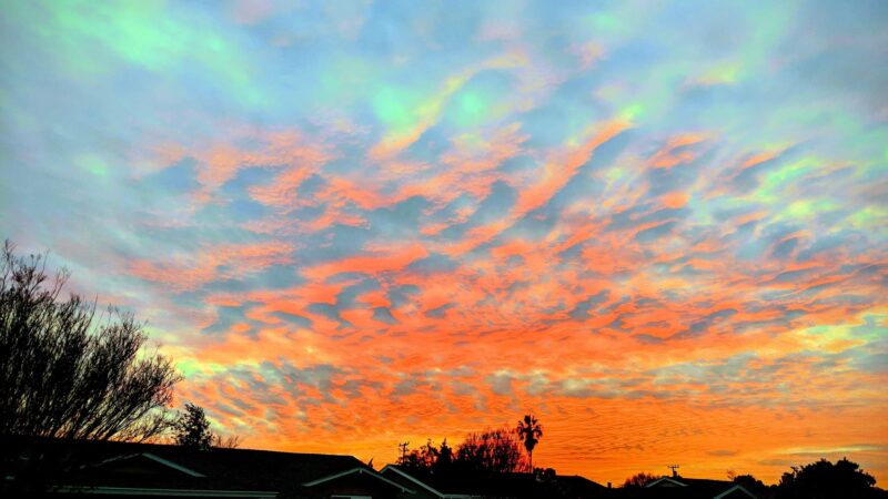 Patterson Park - Fremont, CA