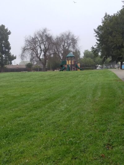 Patterson Park - Fremont, CA