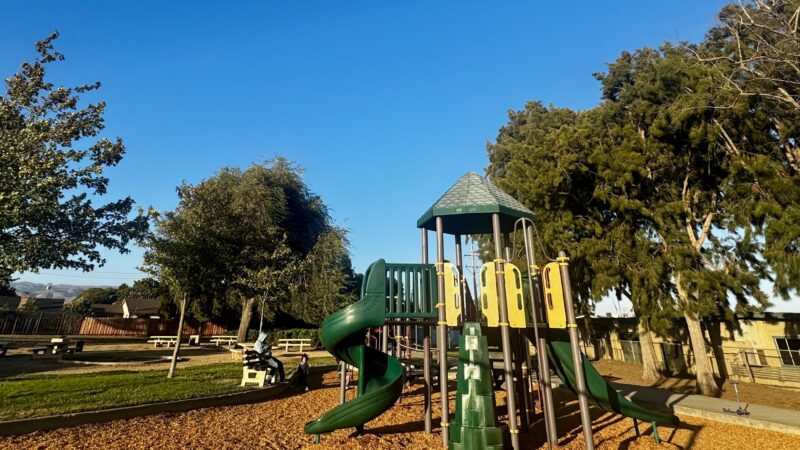 Patterson Park - Fremont, CA