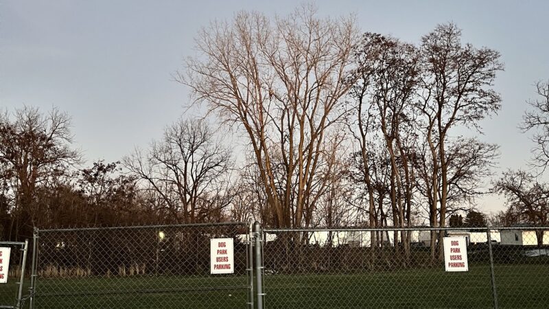 Broad Street Dog Park - Fremont, IN