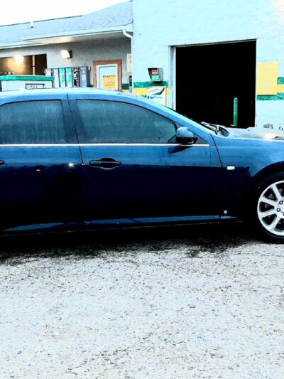 Broad Street Dog Park - Fremont, IN