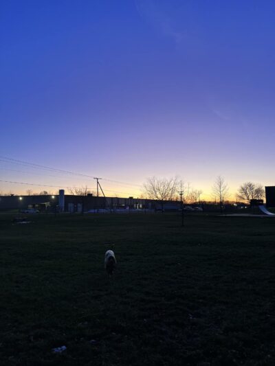 Broad Street Dog Park - Fremont, IN