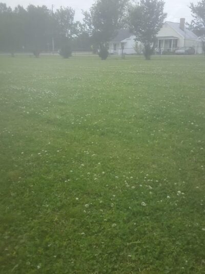 Jr. Pelee Park - Fremont, NC