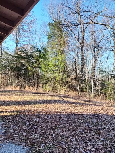 Menifee County Swimming Pool - Frenchburg, KY