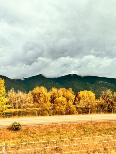 Frenchtown Pond State Park - Frenchtown, MT