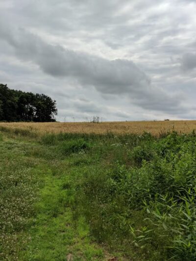 D&R Canal State Park - Frenchtown, NJ