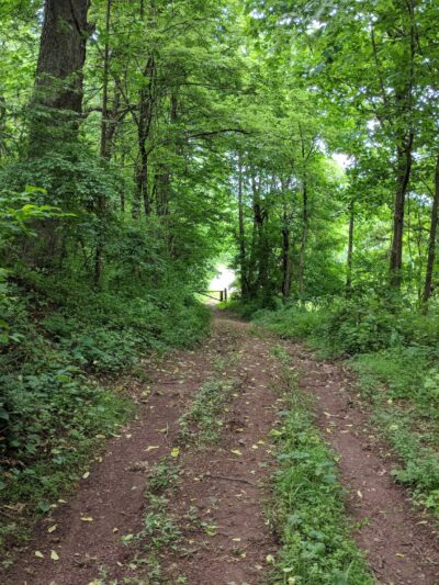 D&R Canal State Park - Frenchtown, NJ