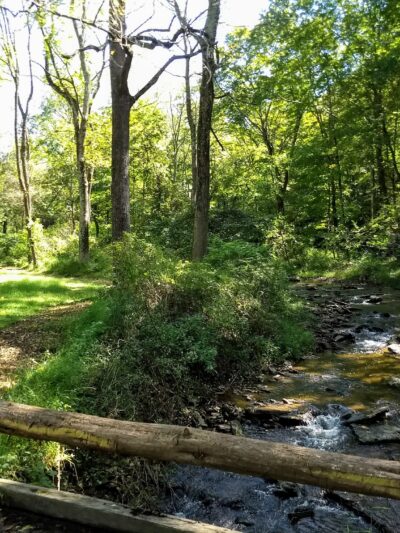 Horseshoe Bend Park East - Frenchtown, NJ
