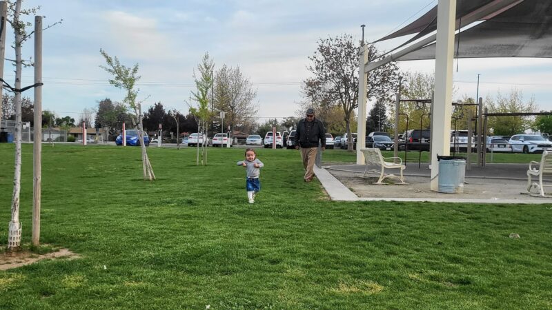 Al Radka Dog Park - Fresno, CA