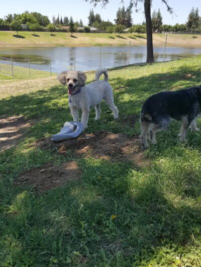 Basin XX Park - Fresno, CA