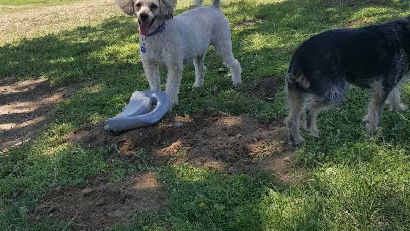 Basin XX Park - Fresno, CA