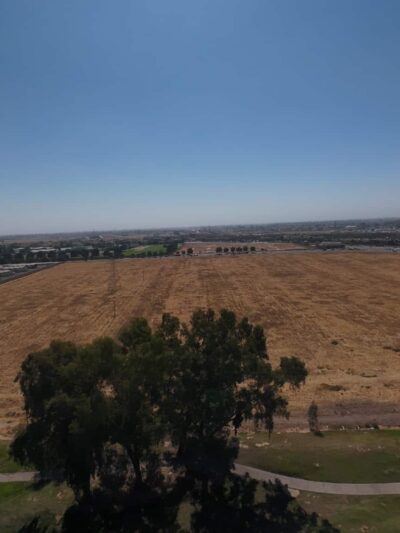 Dog Park - Fresno, CA