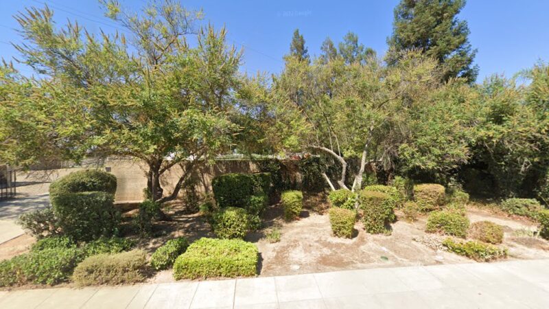 Dog Park - Fresno, CA