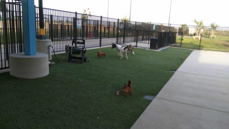 Dr. James W. Thornton Dog Park - Fresno, CA
