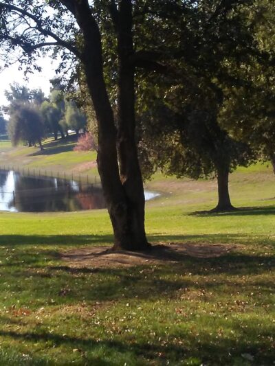 First & Bullard (O) Dog Park - Fresno, CA