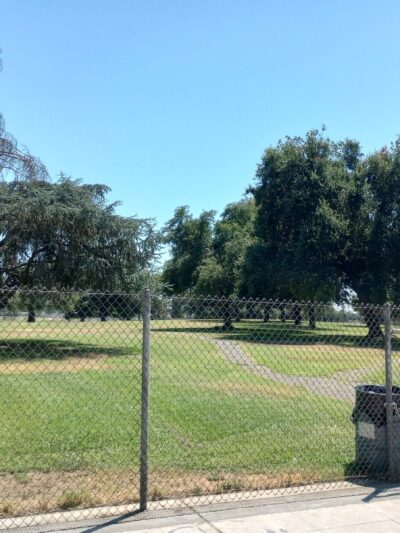 First & Bullard (O) Dog Park - Fresno, CA