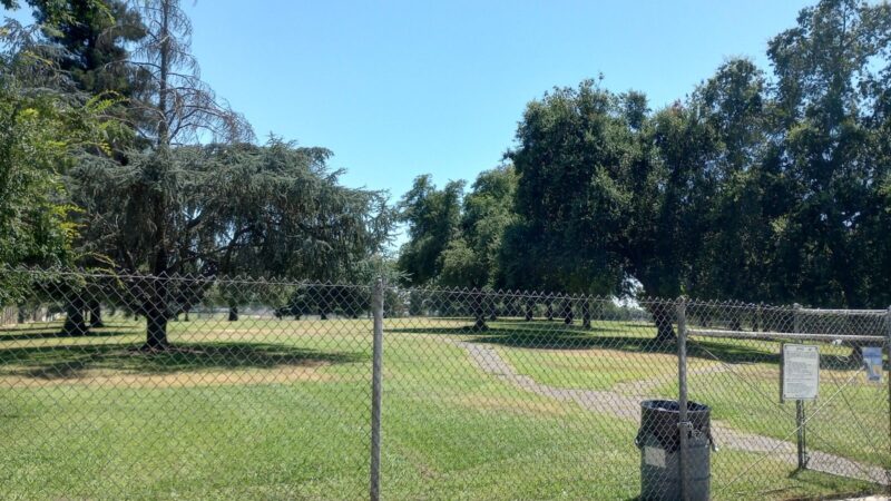 First & Bullard (O) Dog Park - Fresno, CA