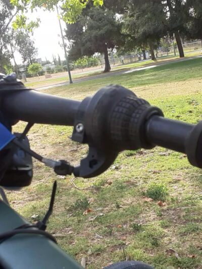 Roeding Dog Park - Fresno, CA