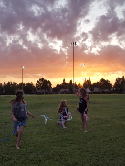 Todd Beamer Dog Park - Fresno, CA