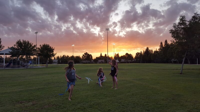 Todd Beamer Dog Park - Fresno, CA