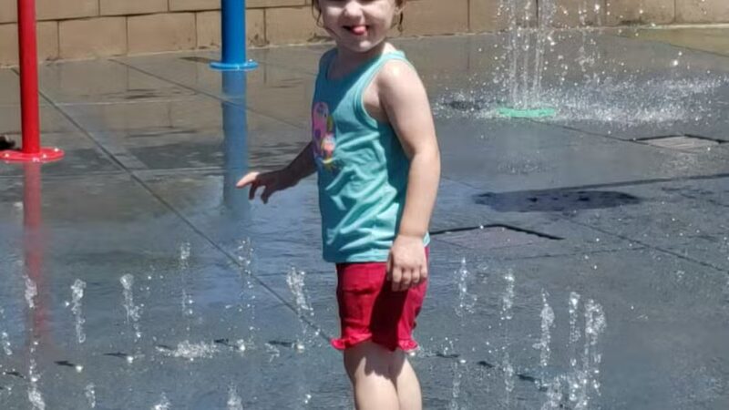 Todd Beamer Dog Park - Fresno, CA