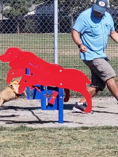 Todd Beamer Dog Park - Fresno, CA