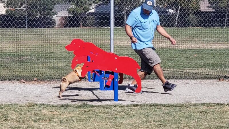 Todd Beamer Dog Park - Fresno, CA