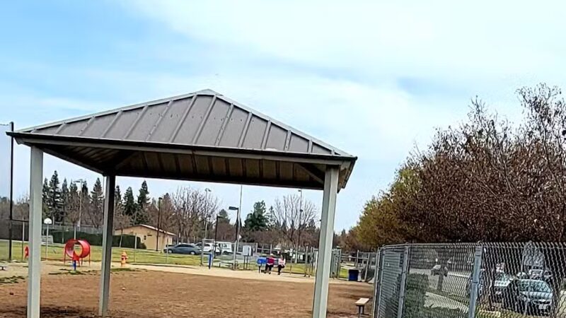 Todd Beamer Dog Park - Fresno, CA