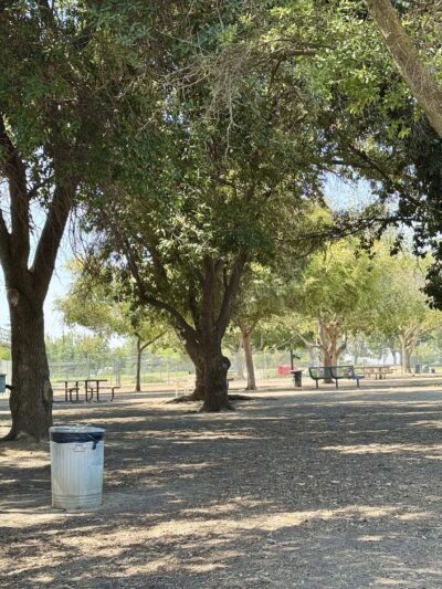 Woodward Dog Park - Fresno, CA