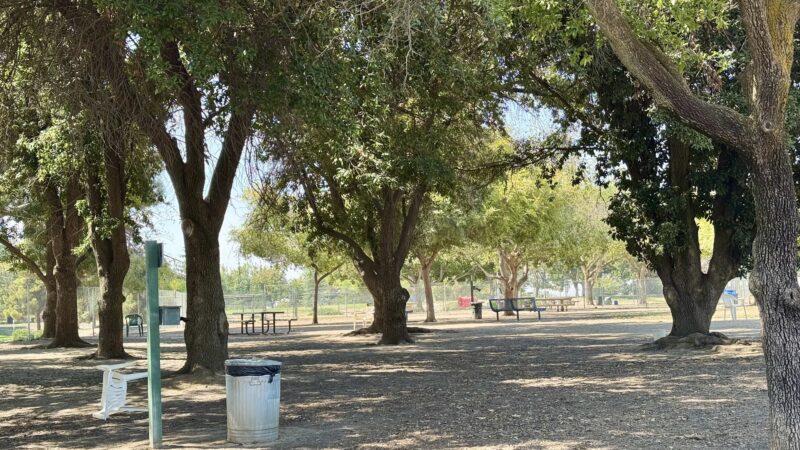 Woodward Dog Park - Fresno, CA