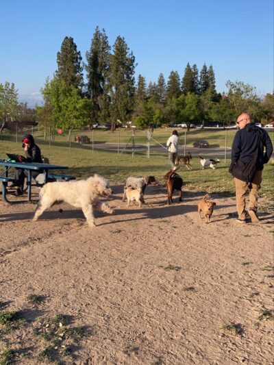 Woodward Dog Park - Fresno, CA