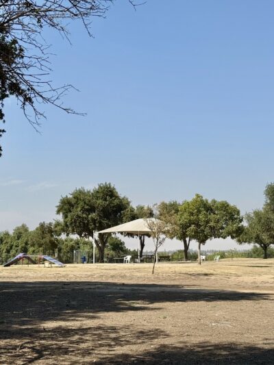 Woodward Dog Park - Fresno, CA