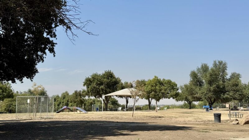 Woodward Dog Park - Fresno, CA