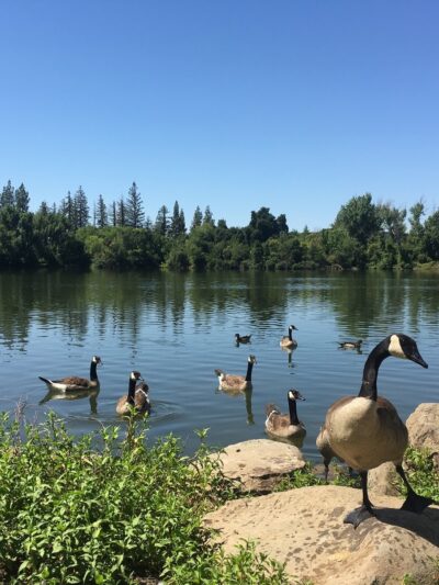 Woodward Park - Fresno, CA