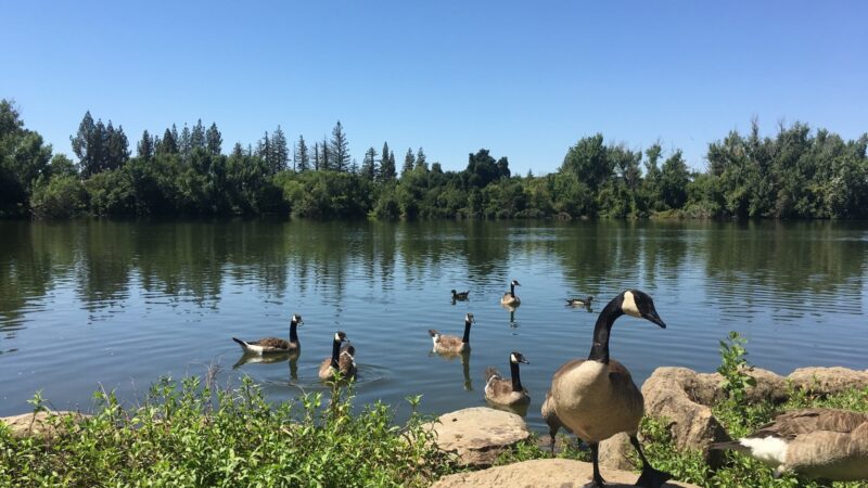 Woodward Park - Fresno, CA