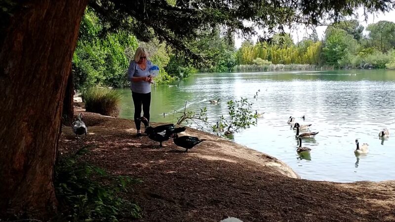 Woodward Park - Fresno, CA