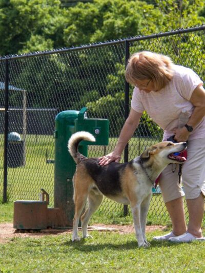 Friends of Hampton Iowa Dog Park - ,