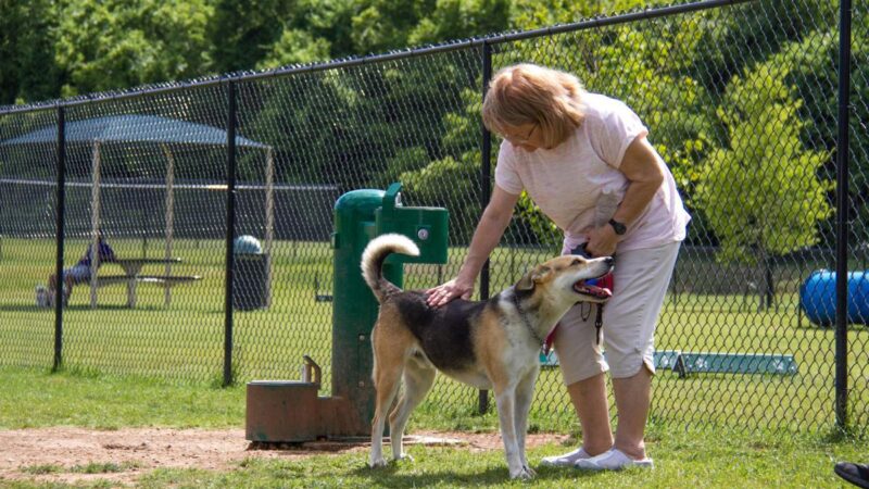 Friends of Hampton Iowa Dog Park - ,