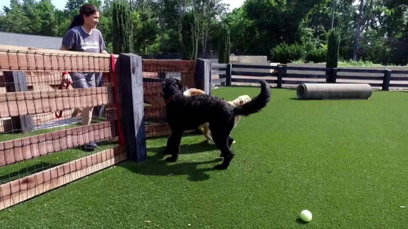 Friendsville Animal Center - Friendsville, TN