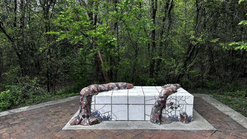 Caddo Trail - Frisco, TX